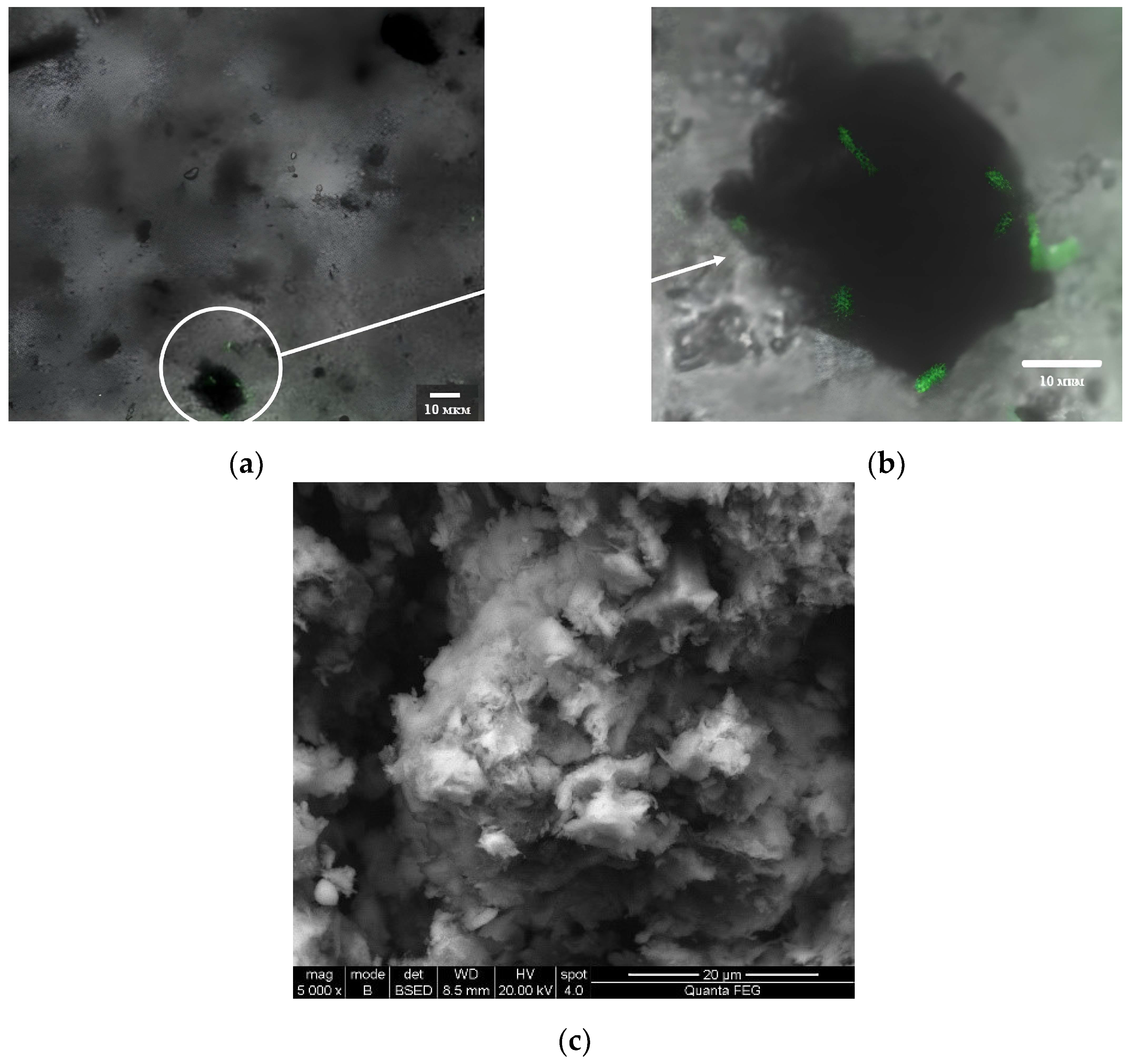 Engproc 67 00017 g002