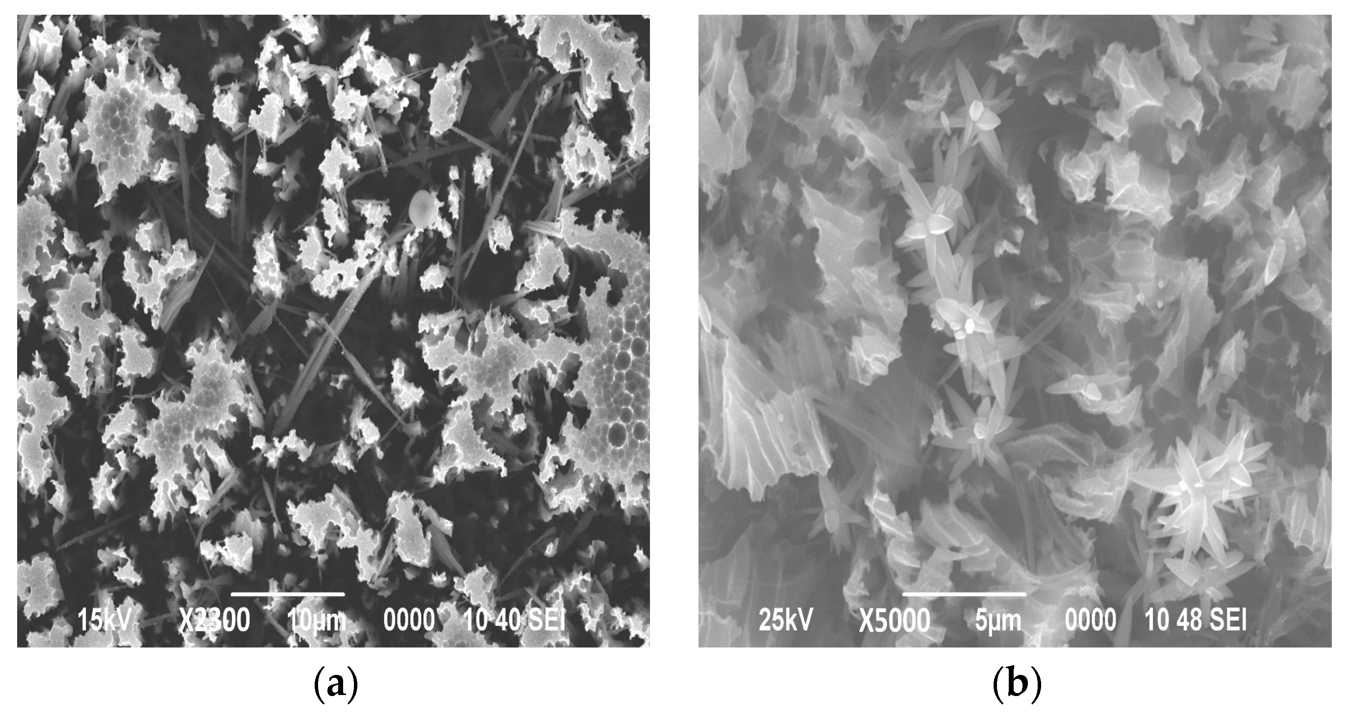 Engproc 67 00028 g002