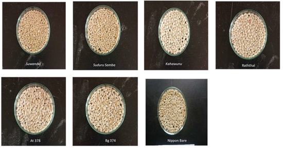 Comparative Assessment of Grain Quality Characteristics and Cooking ...