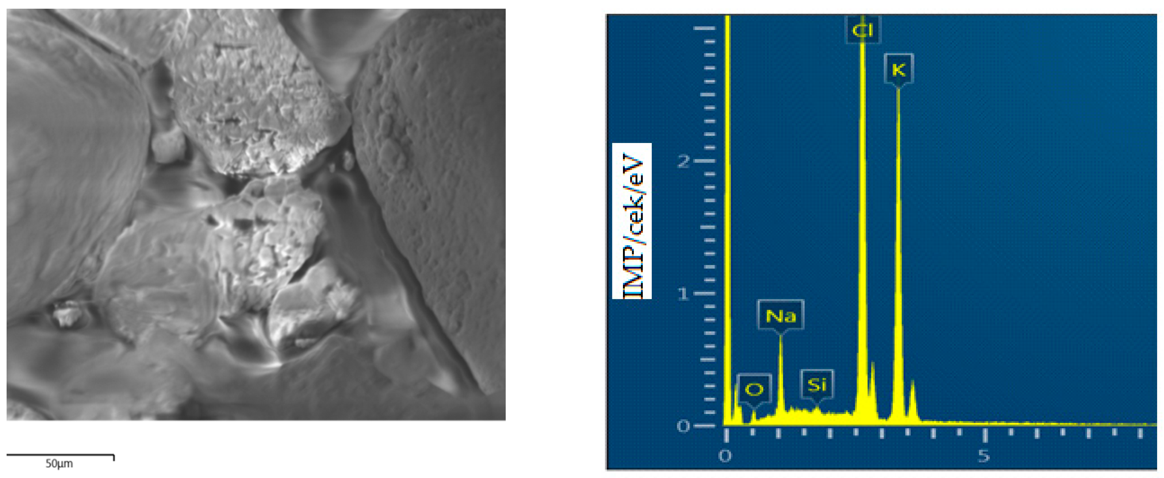 Engproc 67 00059 g001