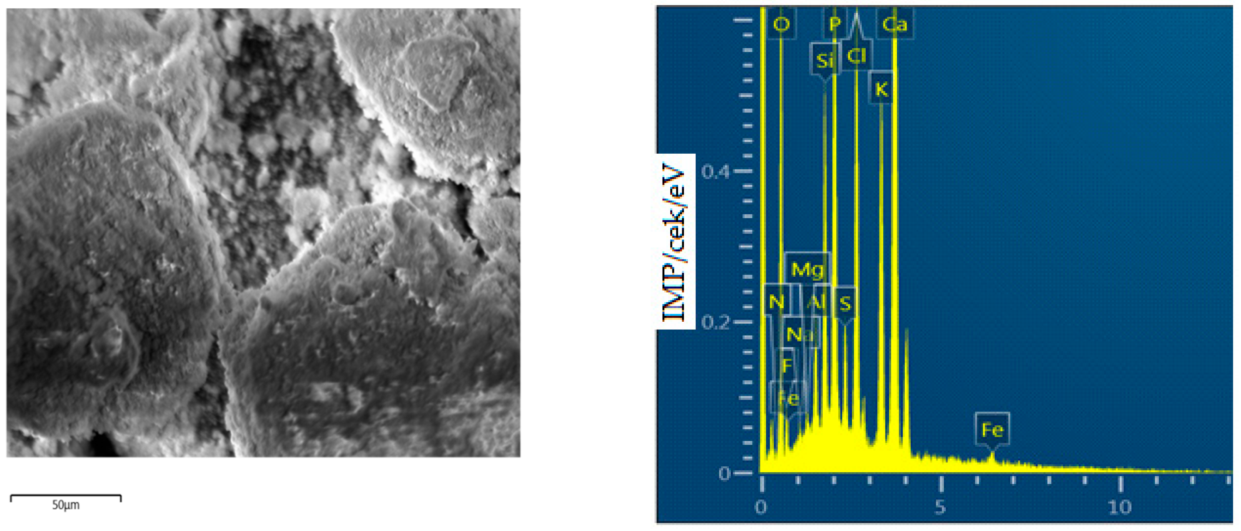Engproc 67 00059 g002