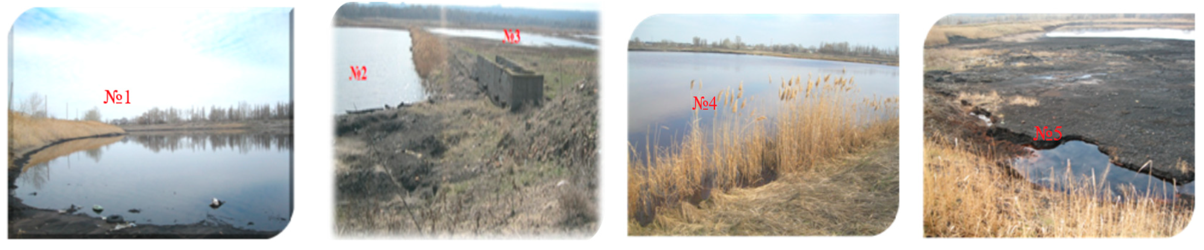 Engproc 67 00084 g001