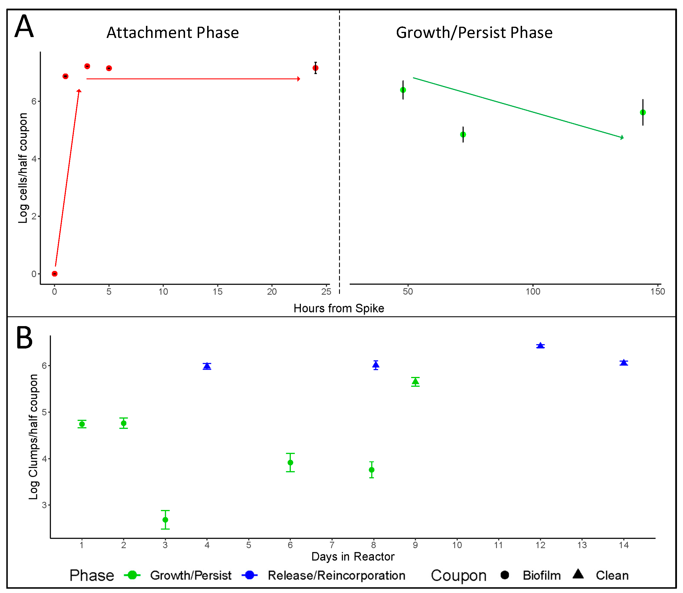 Engproc 69 00148 g001