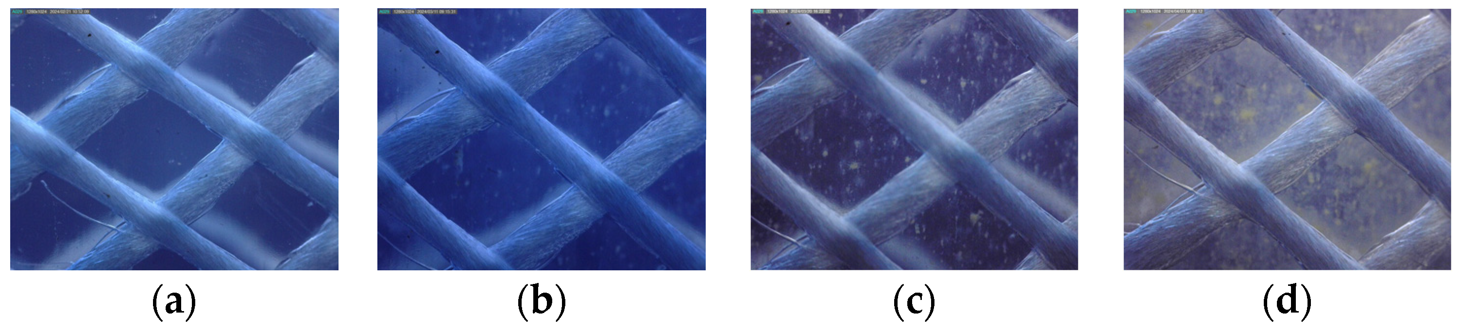 Engproc 69 00169 g002