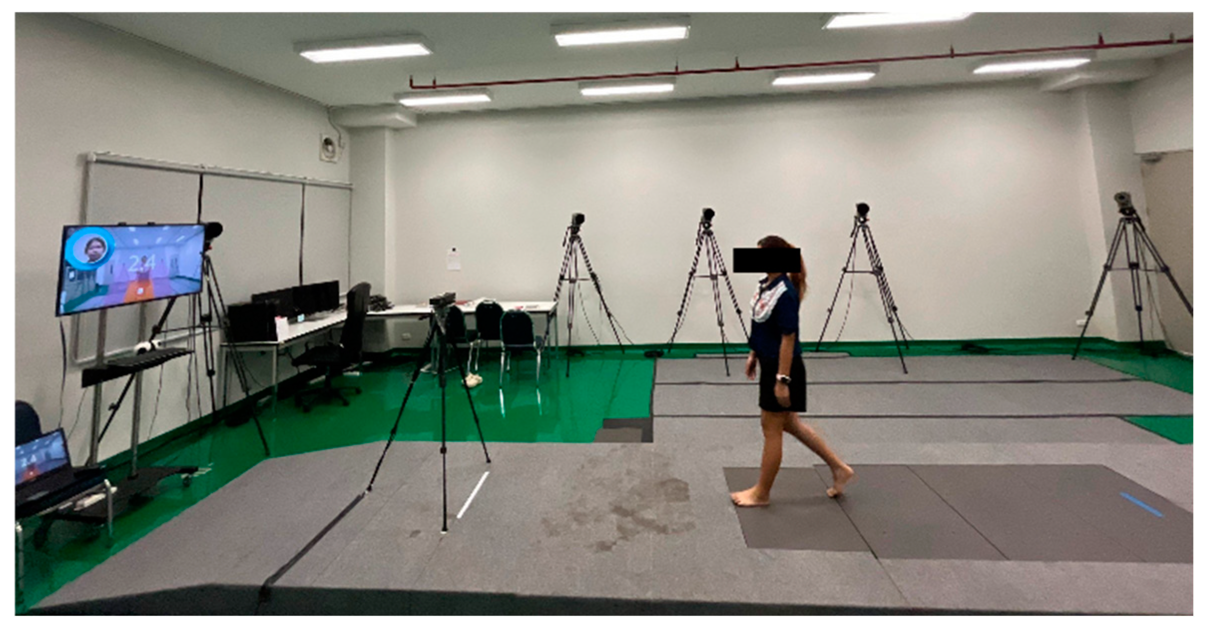 Engproc 74 00019 g002