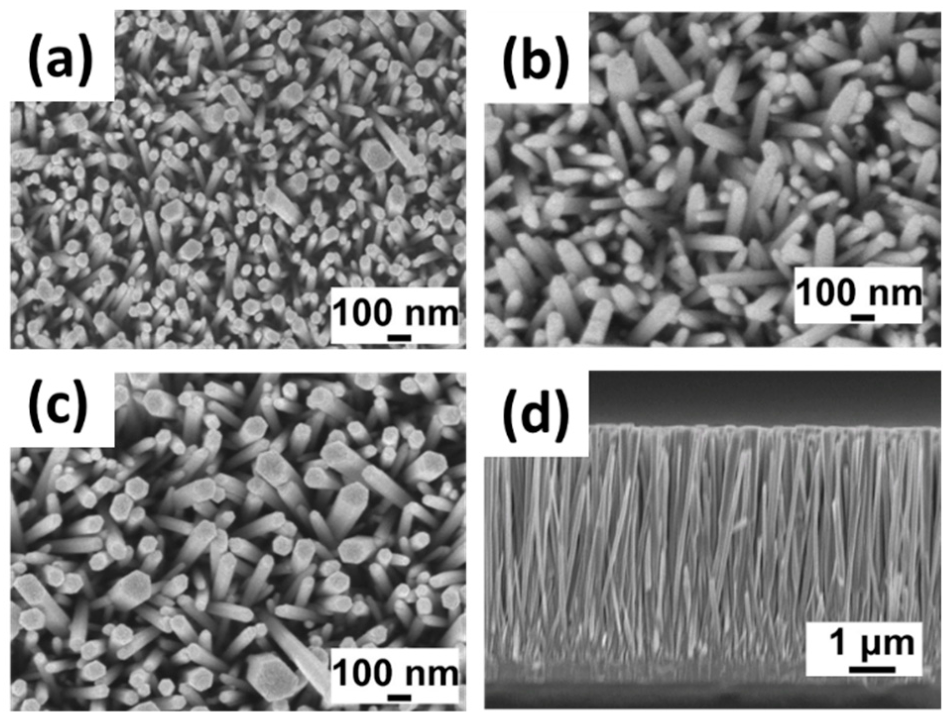 Engproc 74 00055 g003