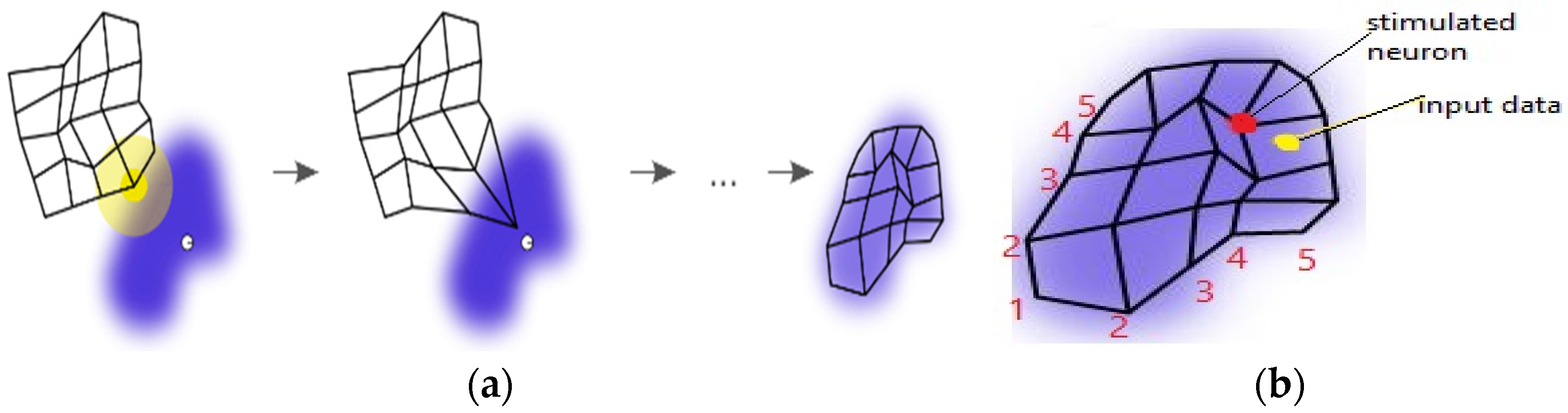 Engproc 76 00067 g004