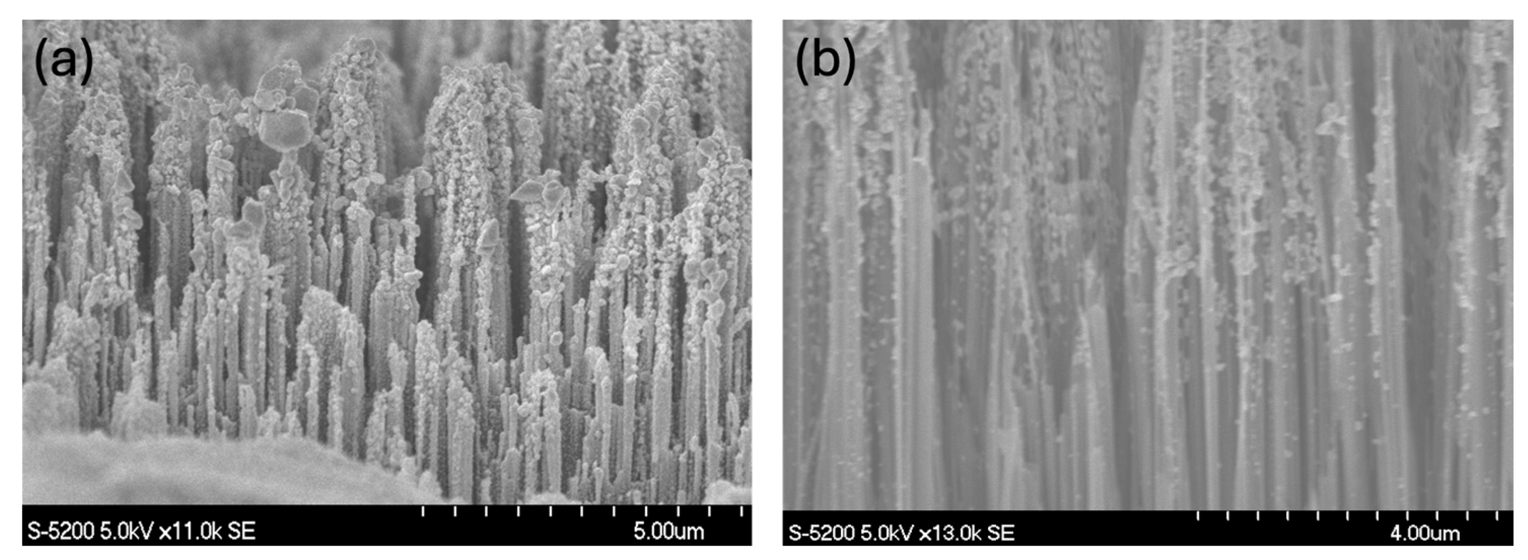 Engproc 76 00081 g002 Engproc 76 00081 g002