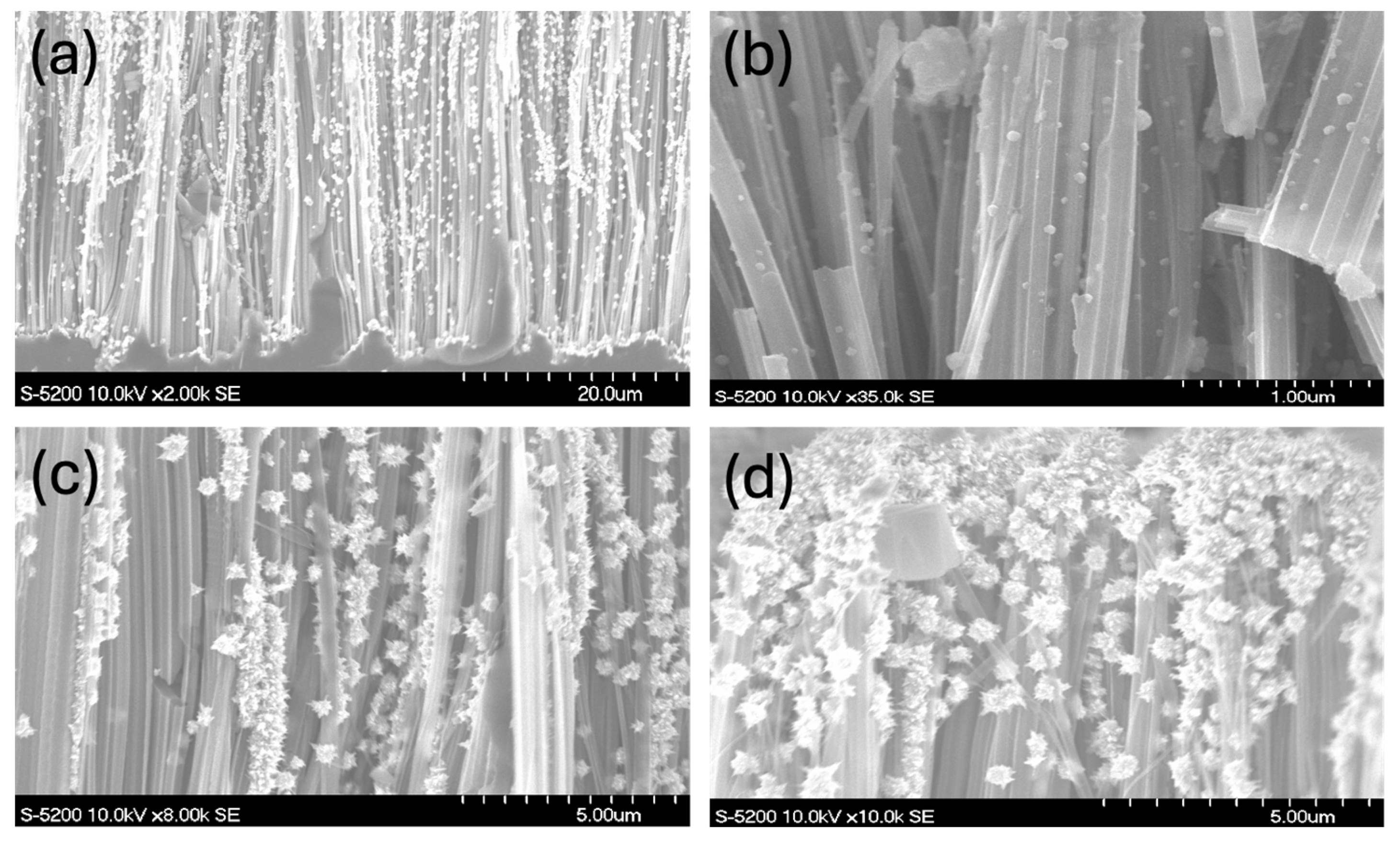 Engproc 76 00081 g003 Engproc 76 00081 g003