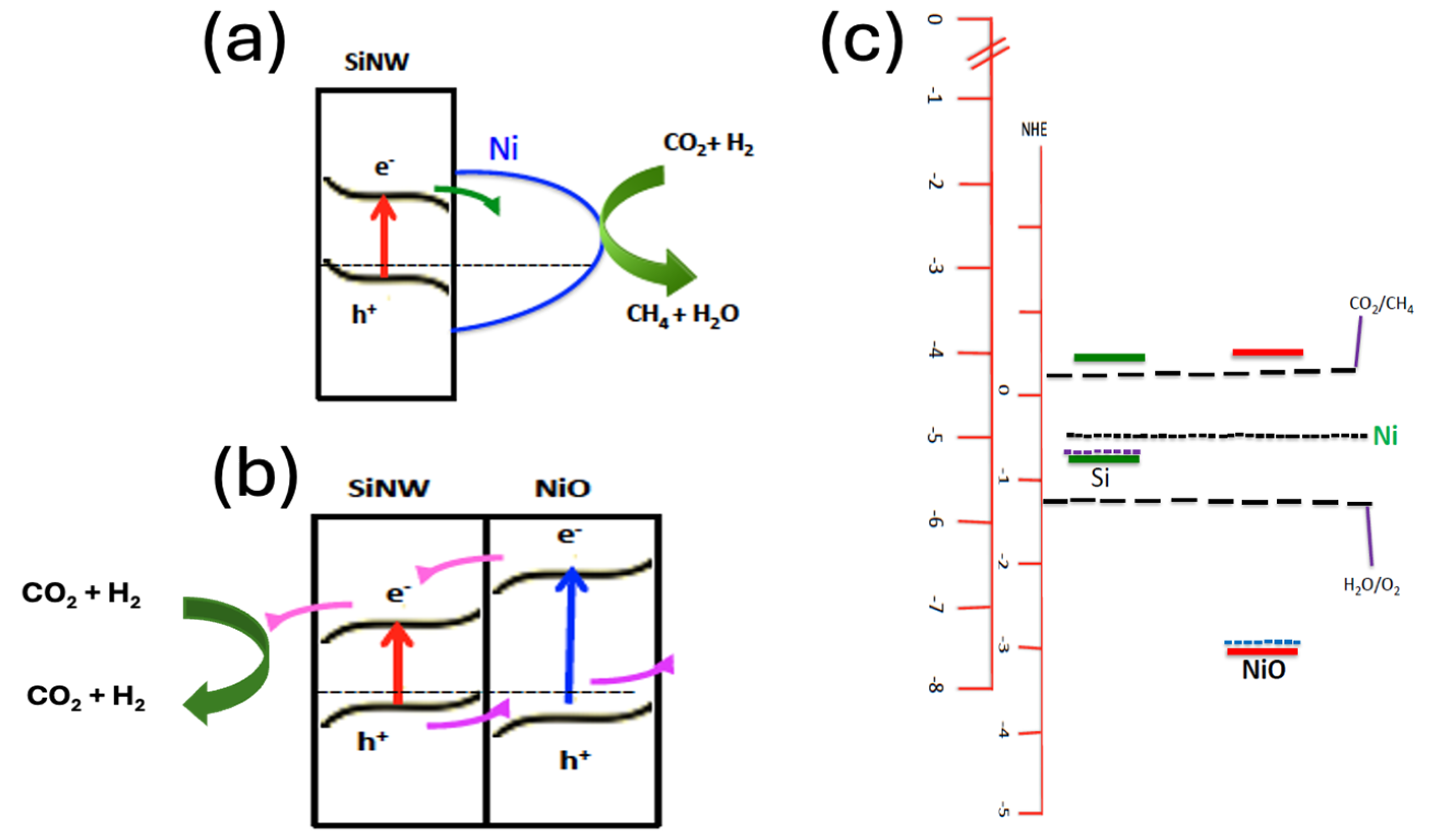 Engproc 76 00081 g004 Engproc 76 00081 g004