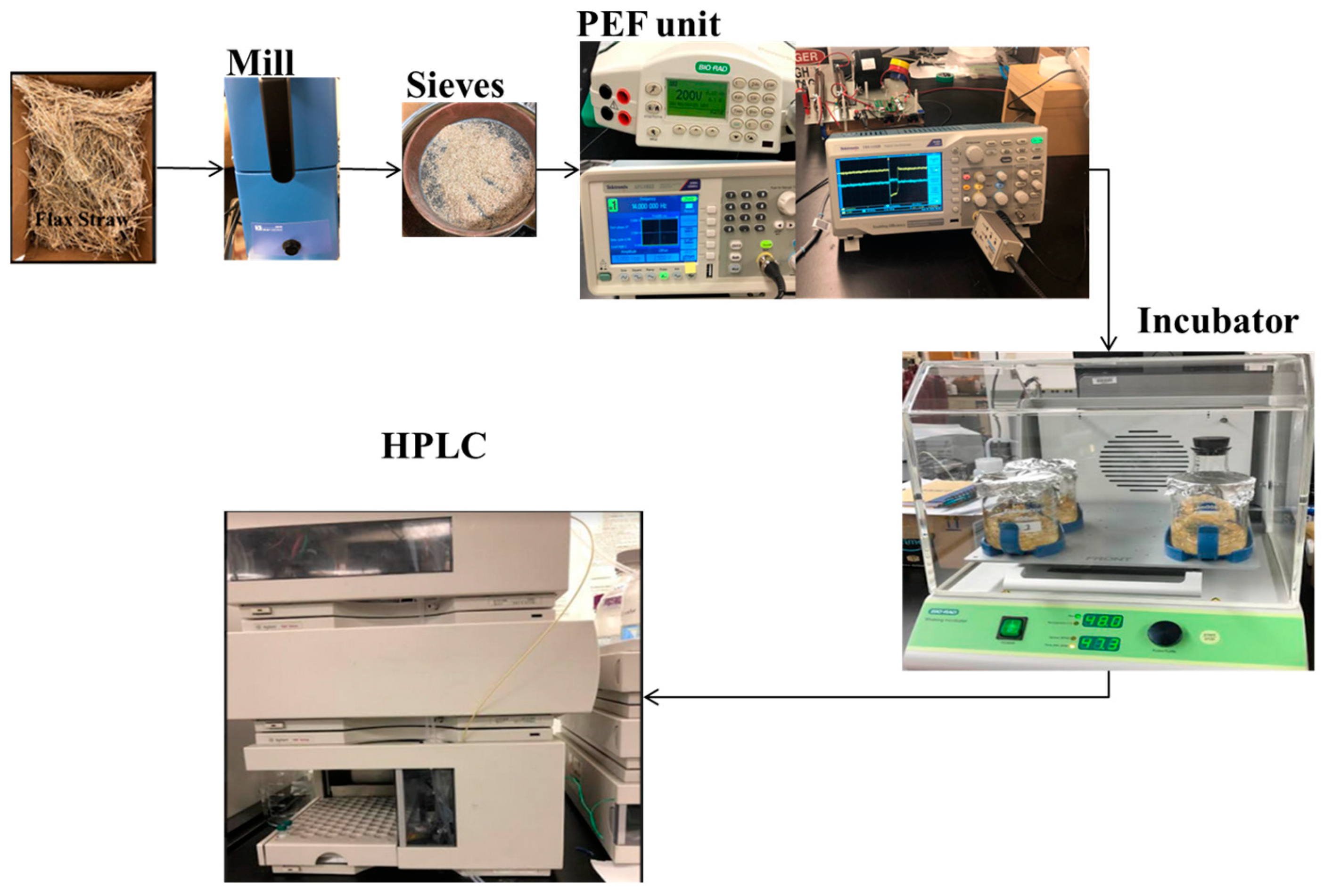 Engproc 76 00099 g002