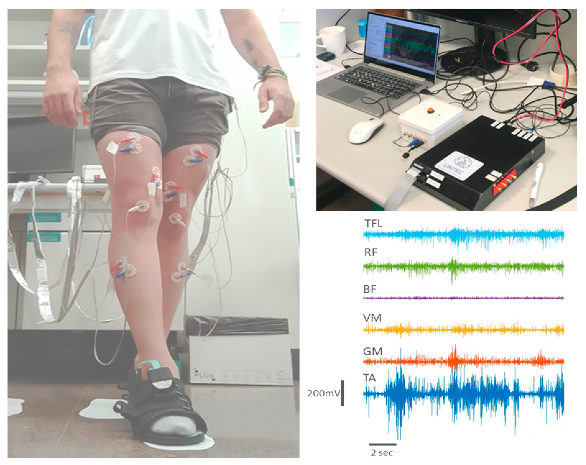 Engproc 81 00006 g002