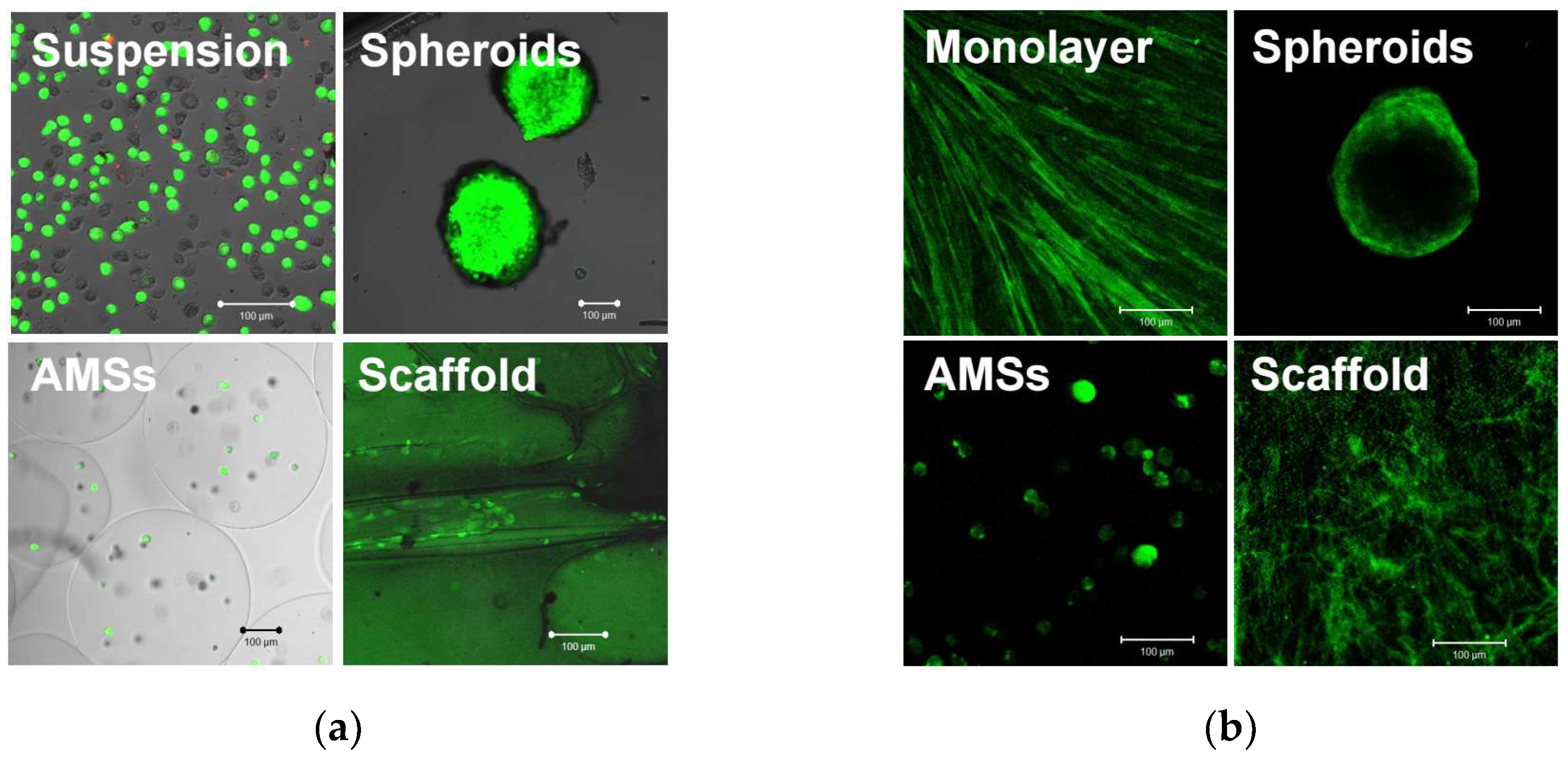 Engproc 81 00008 g001