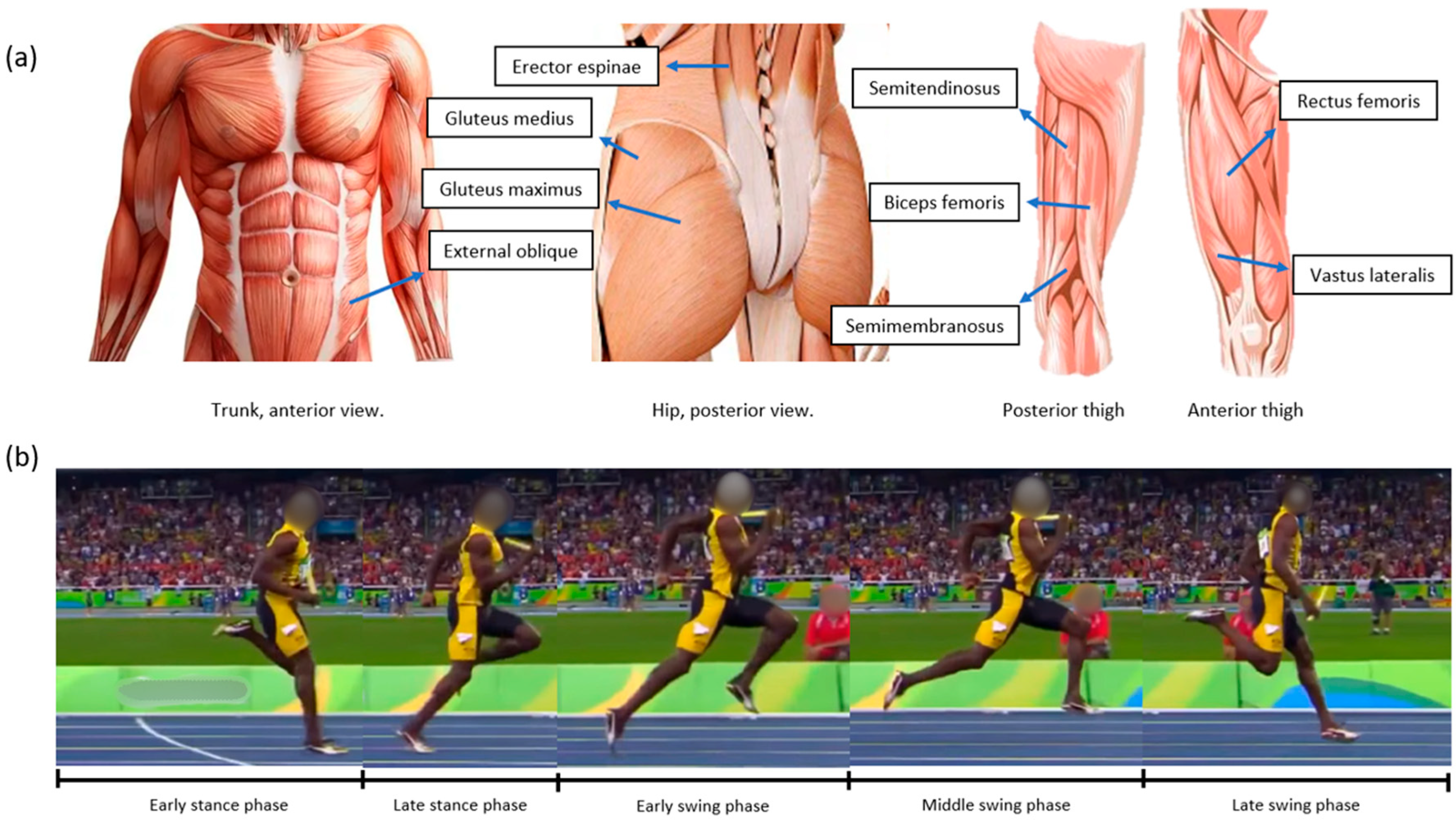 Engproc 81 00018 g003