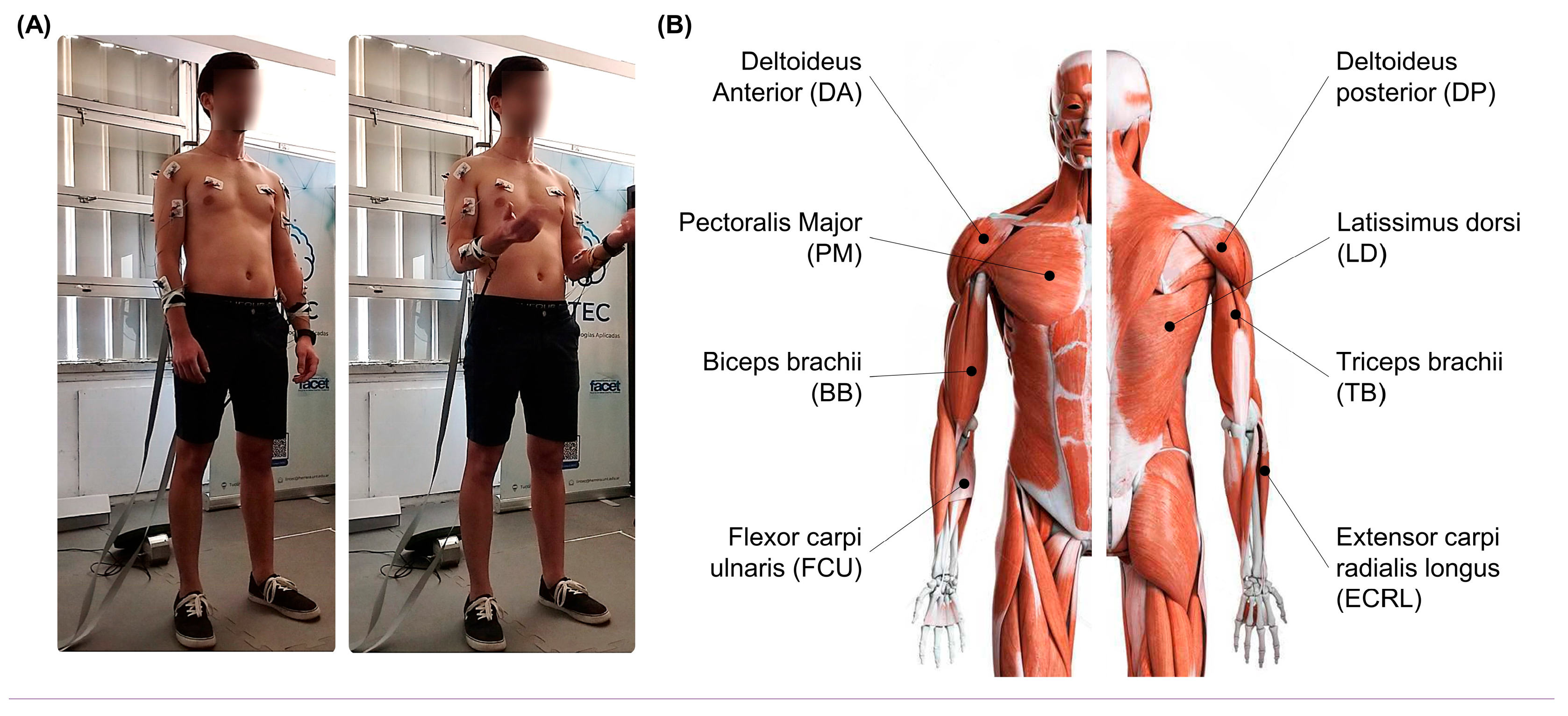 Engproc 81 00022 g002 Engproc 81 00022 g002