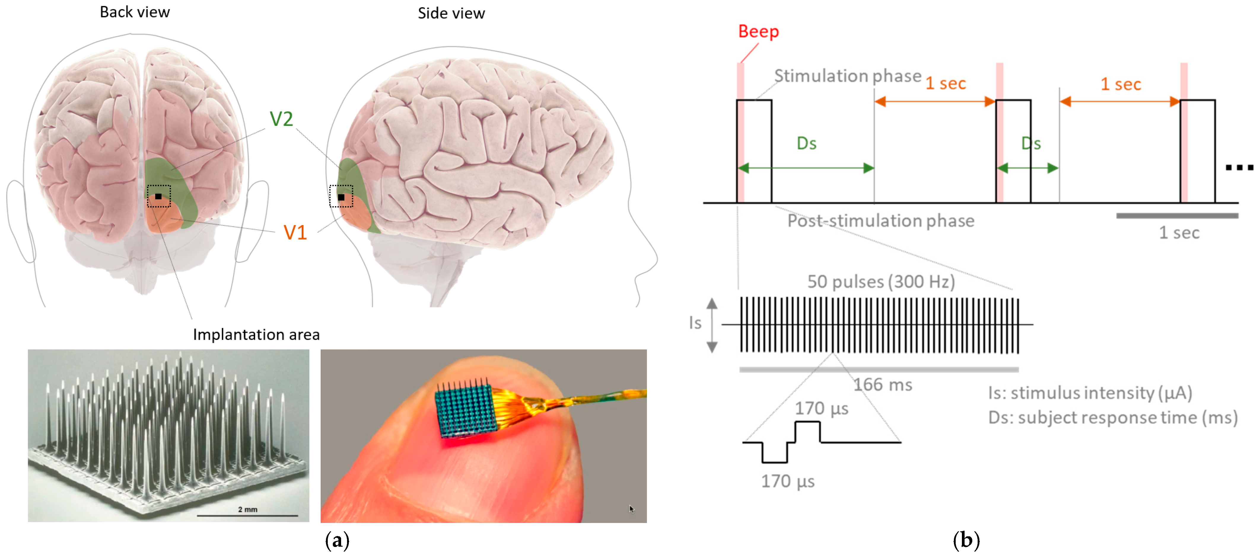 Engproc 81 00024 g001