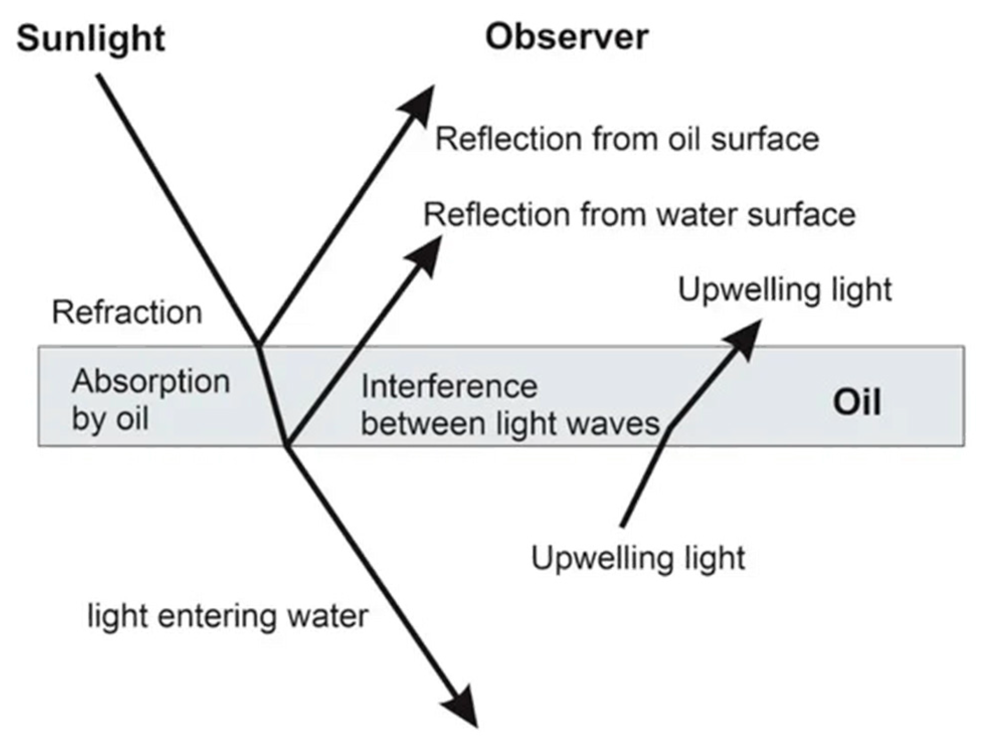 Engproc 82 00006 g002
