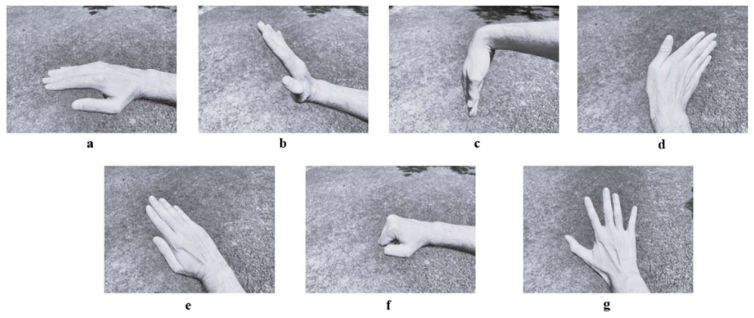 Engproc 82 00038 g001