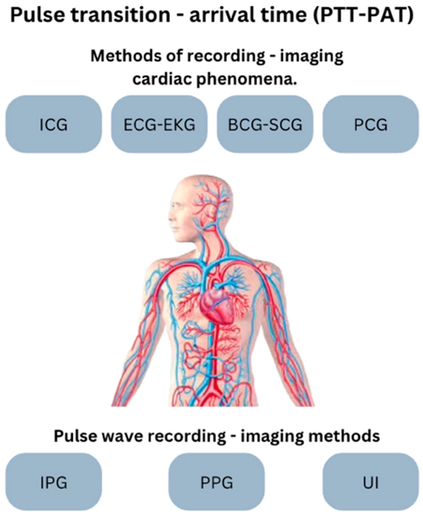 Engproc 82 00042 g003