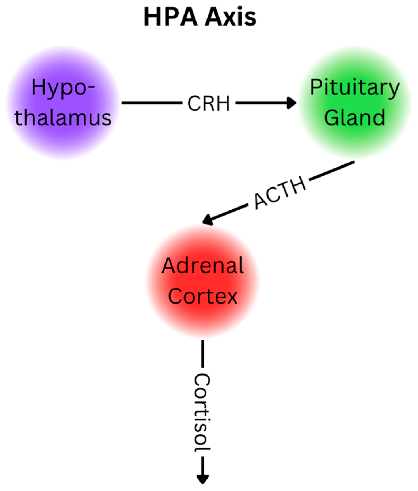 Engproc 82 00042 g005