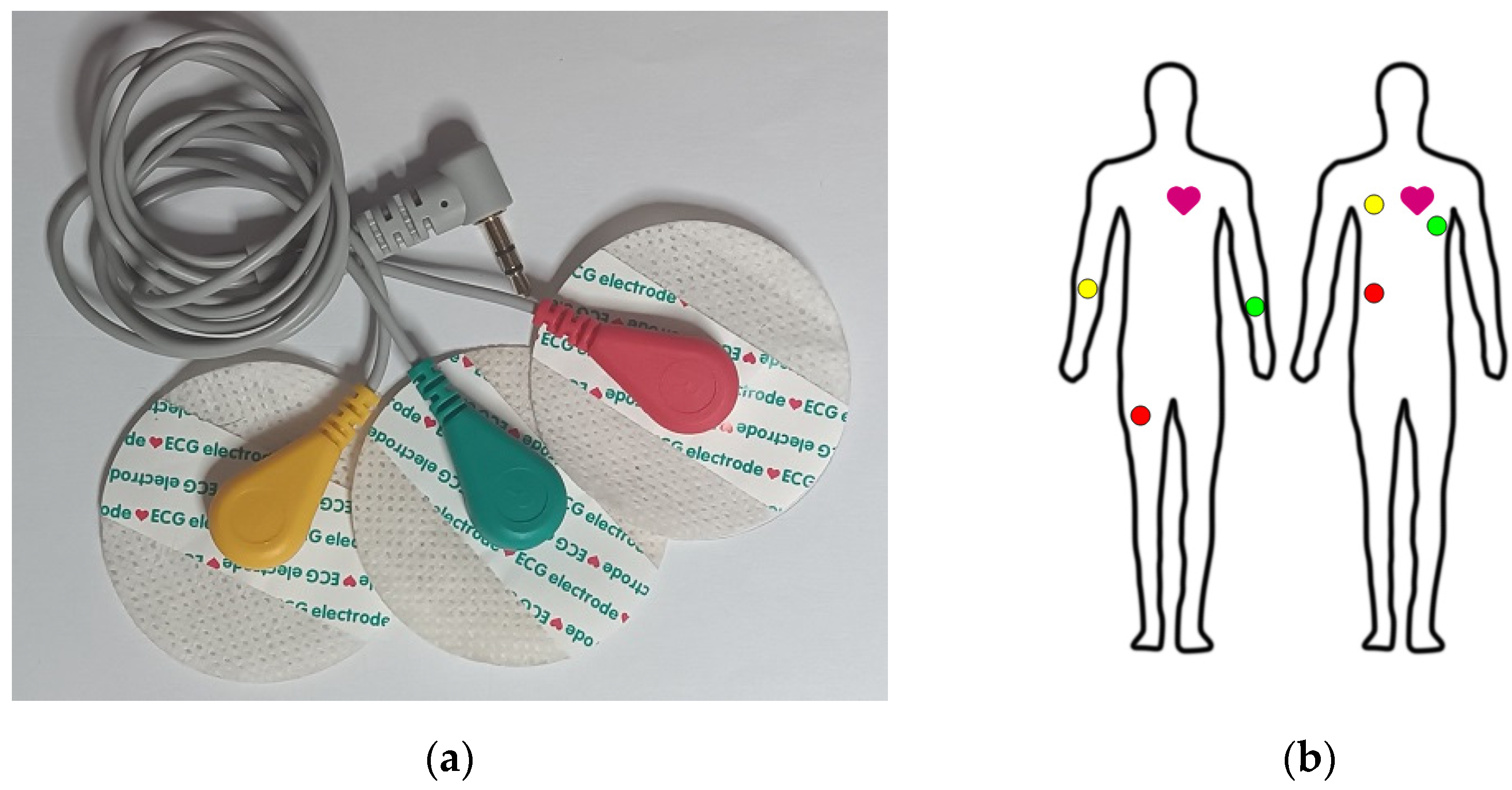 Engproc 82 00071 g003