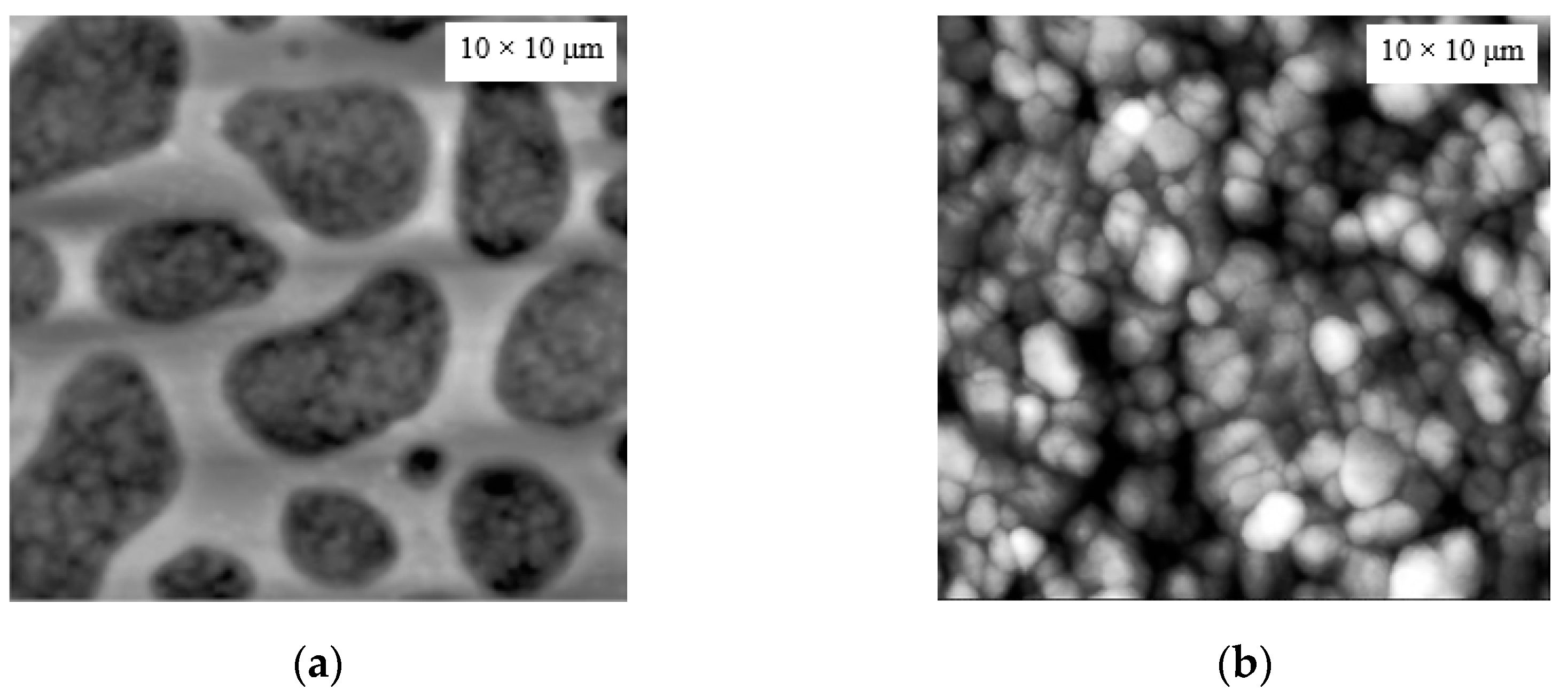 Engproc 82 00098 g002