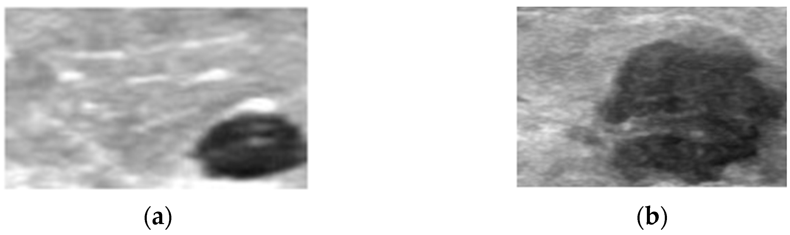 Engproc 83 00015 g008