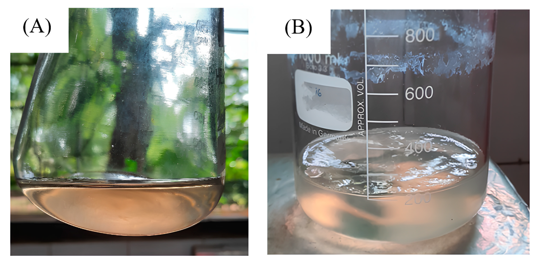 Engproc 84 00029 g003