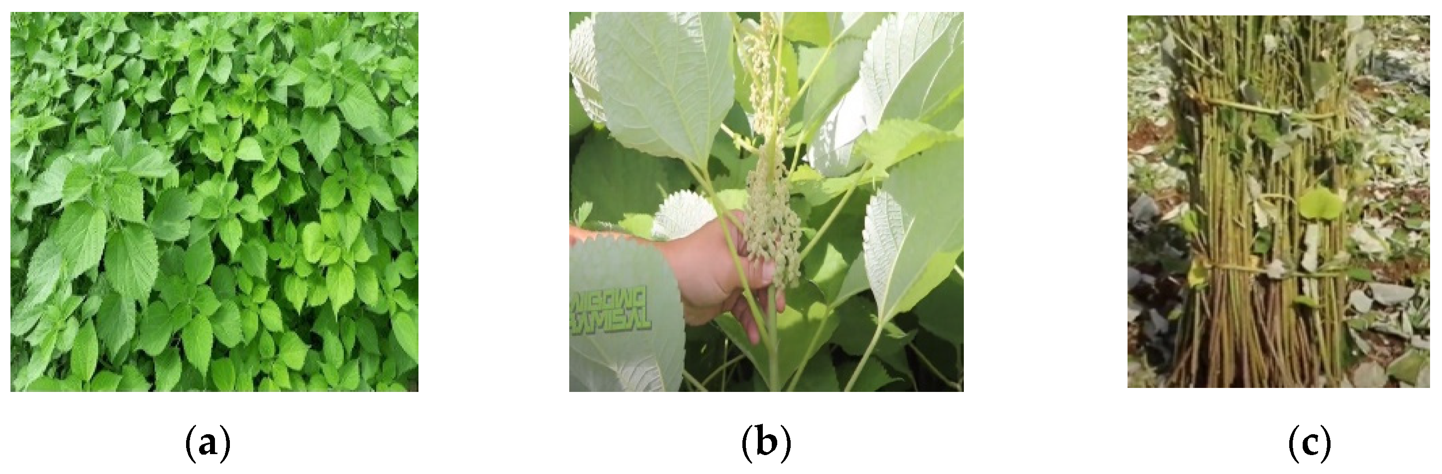 Engproc 84 00057 g001a