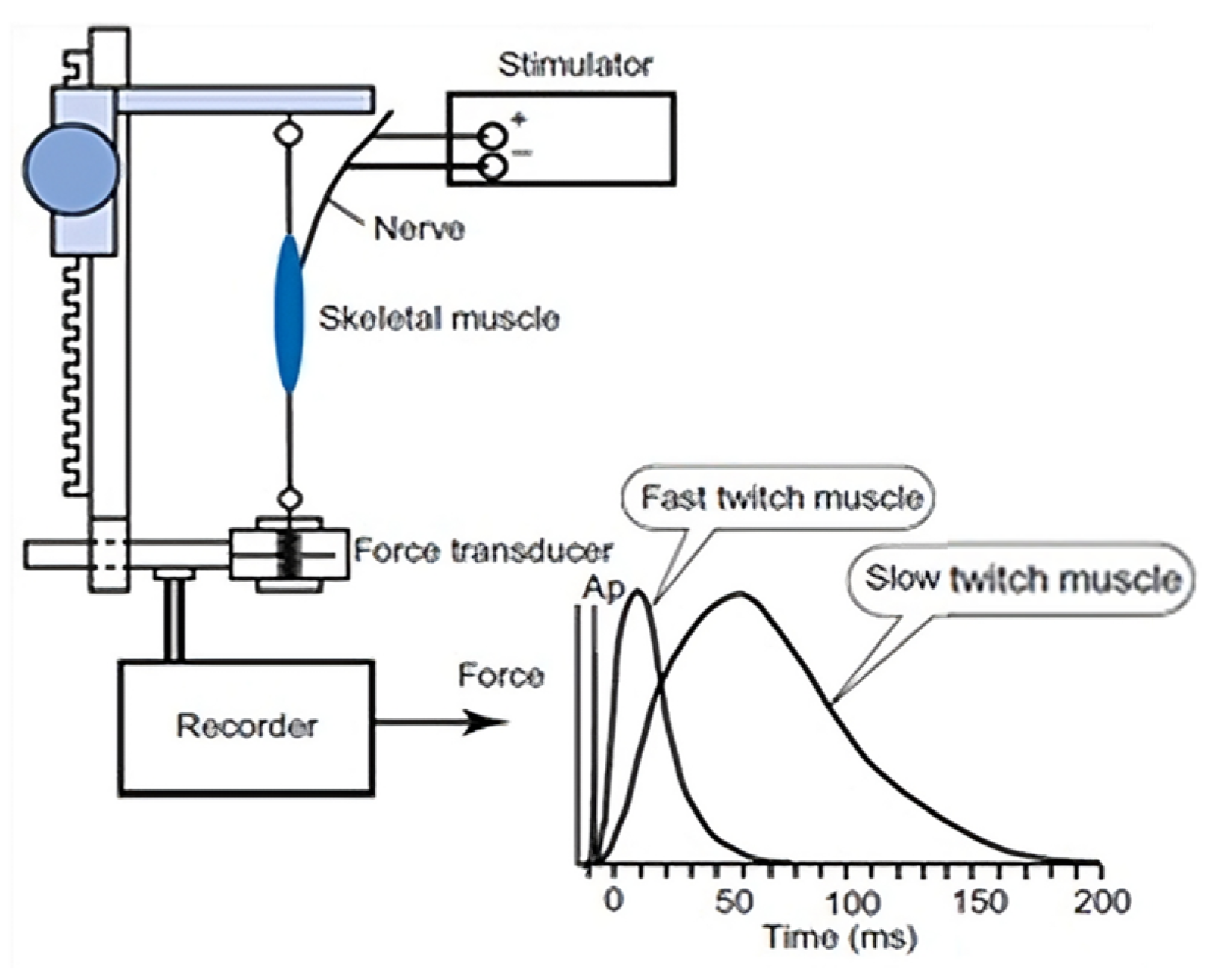 Engproc 84 00078 g002