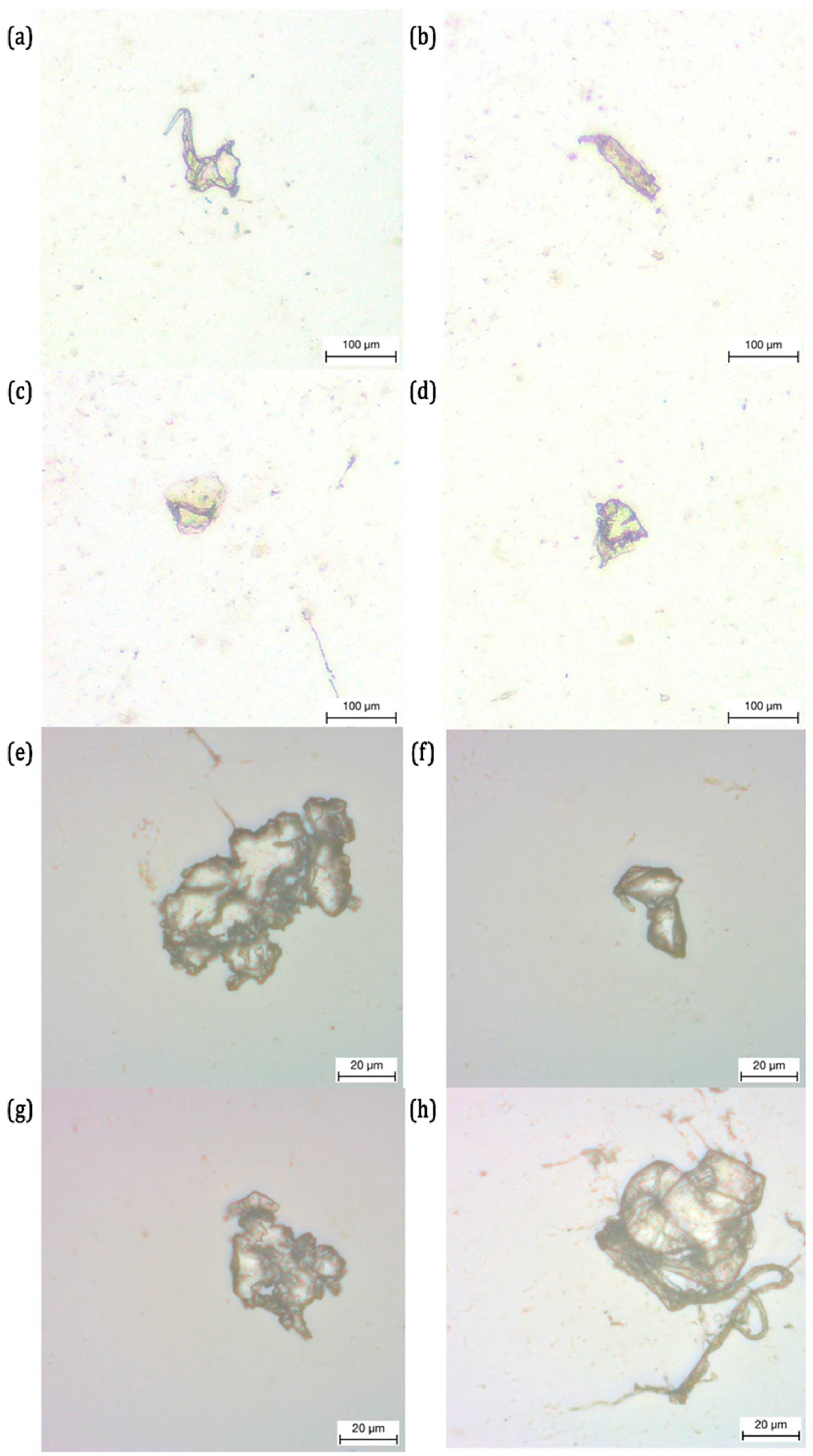 Engproc 85 00016 g006