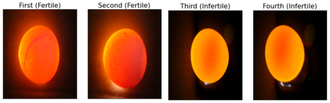 Engproc 87 00007 g001