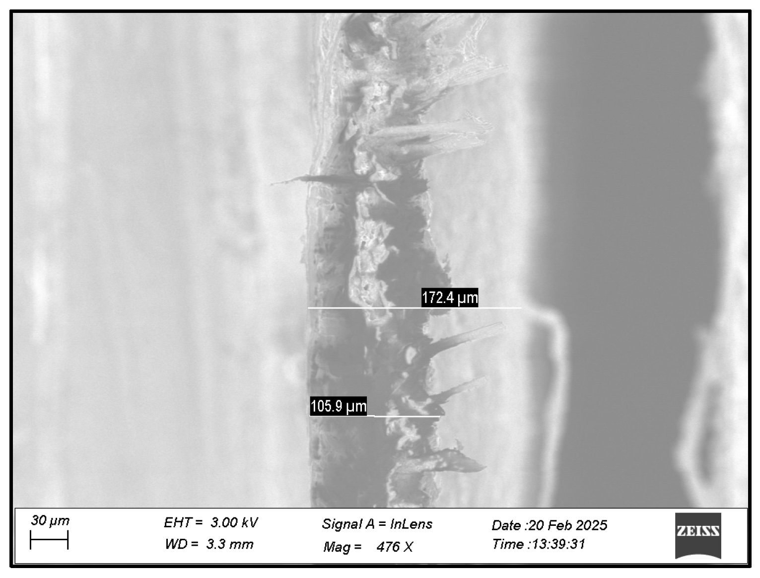 Engproc 87 00017 g004