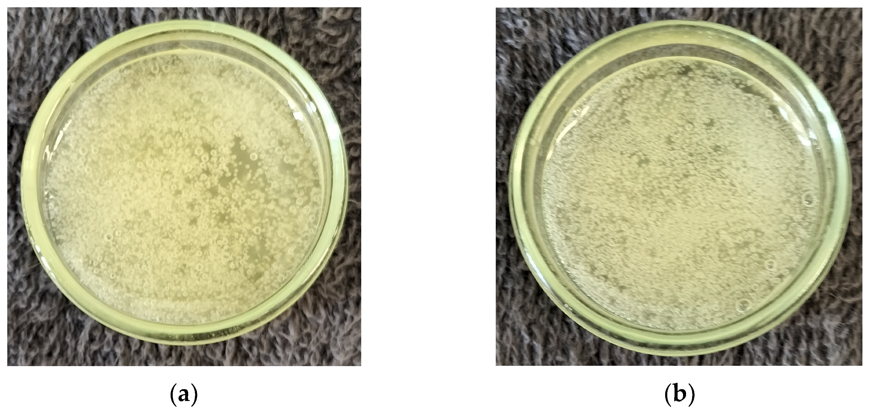 Engproc 87 00020 g007