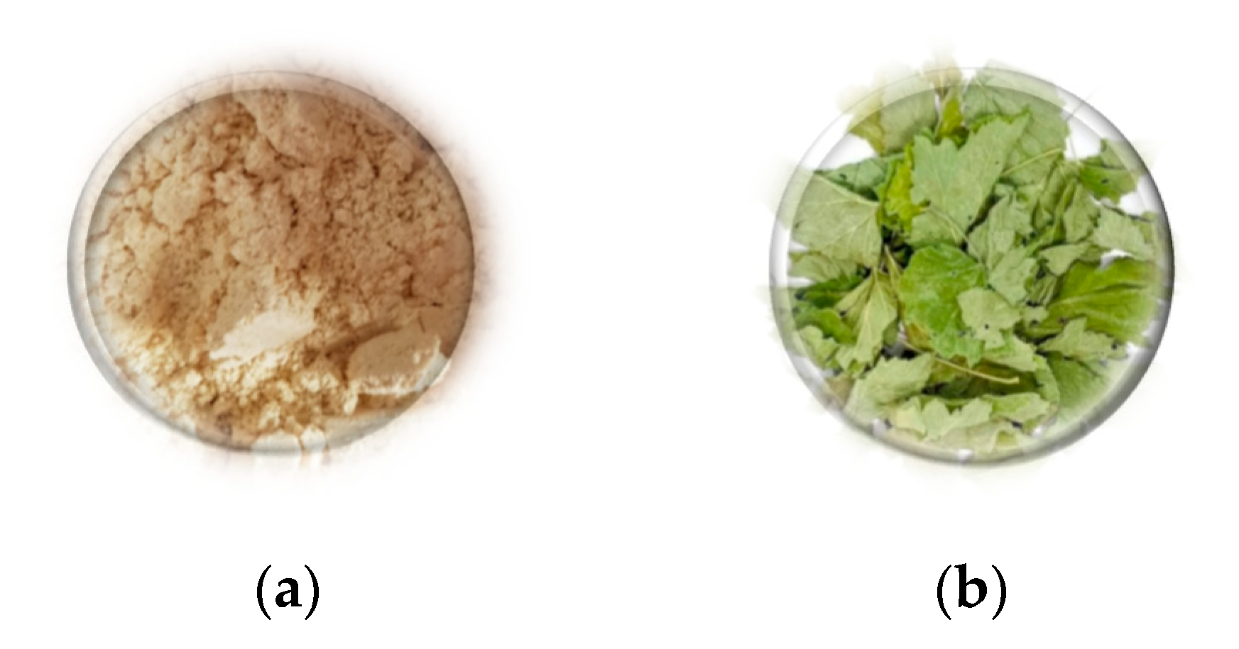 Engproc 87 00028 g001 Engproc 87 00028 g001