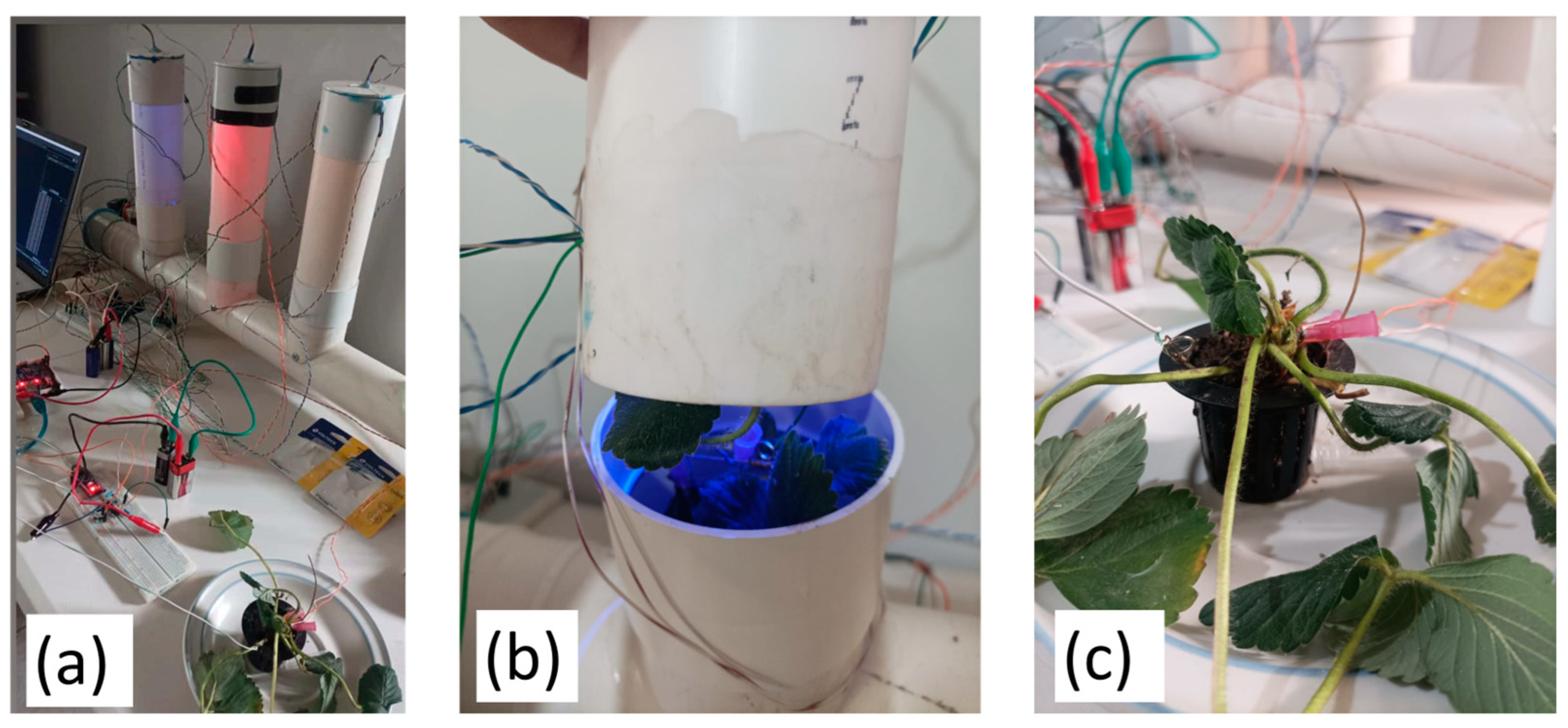 Engproc 87 00044 g003