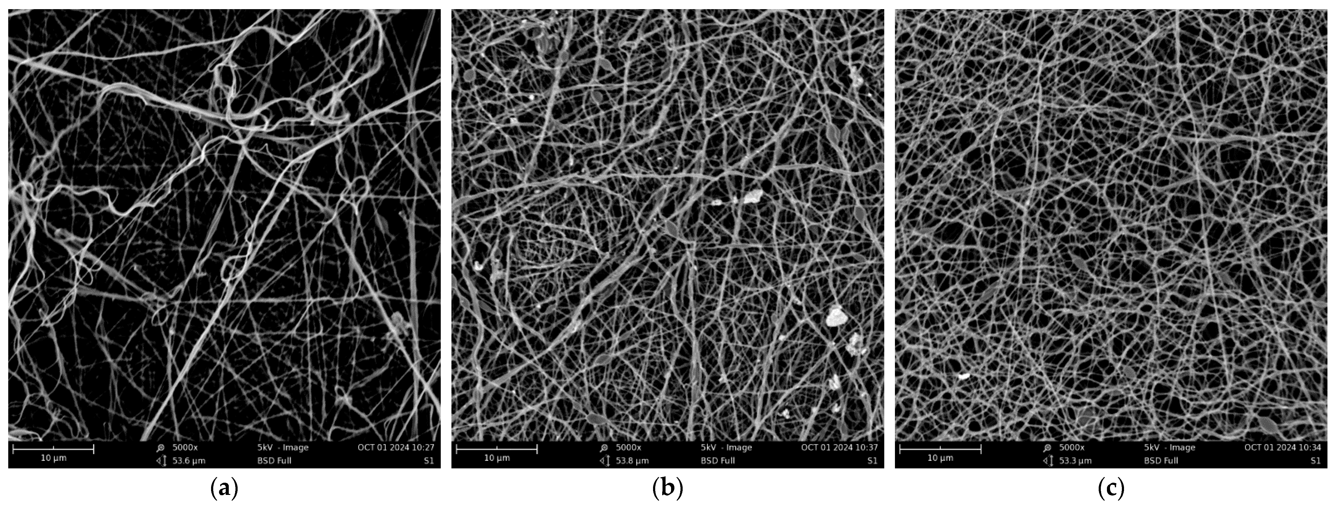 Engproc 87 00045 g003