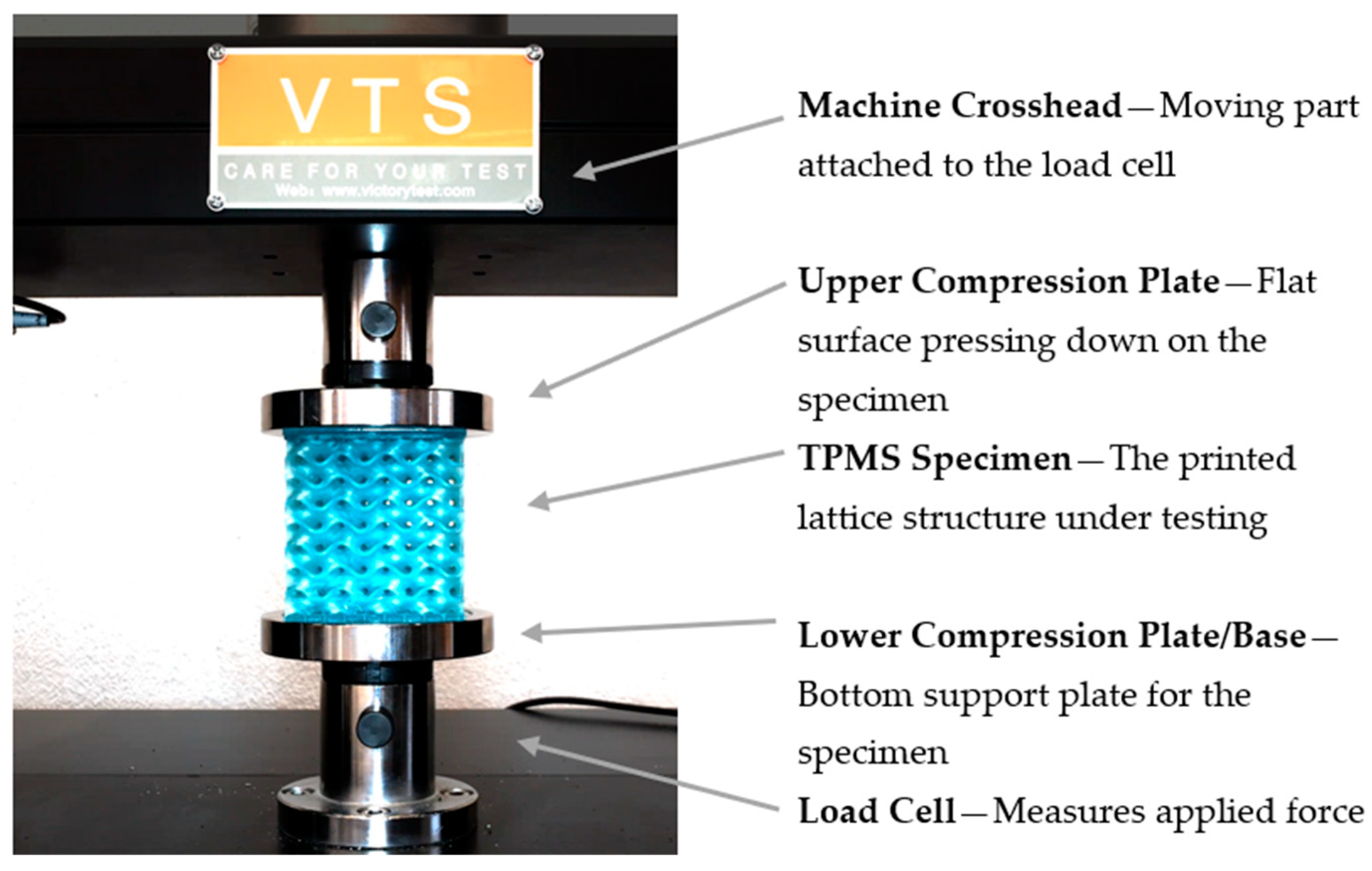 Engproc 87 00046 g002