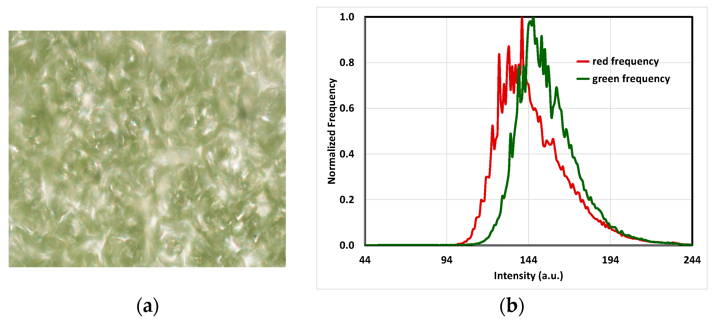 Engproc 87 00062 g004