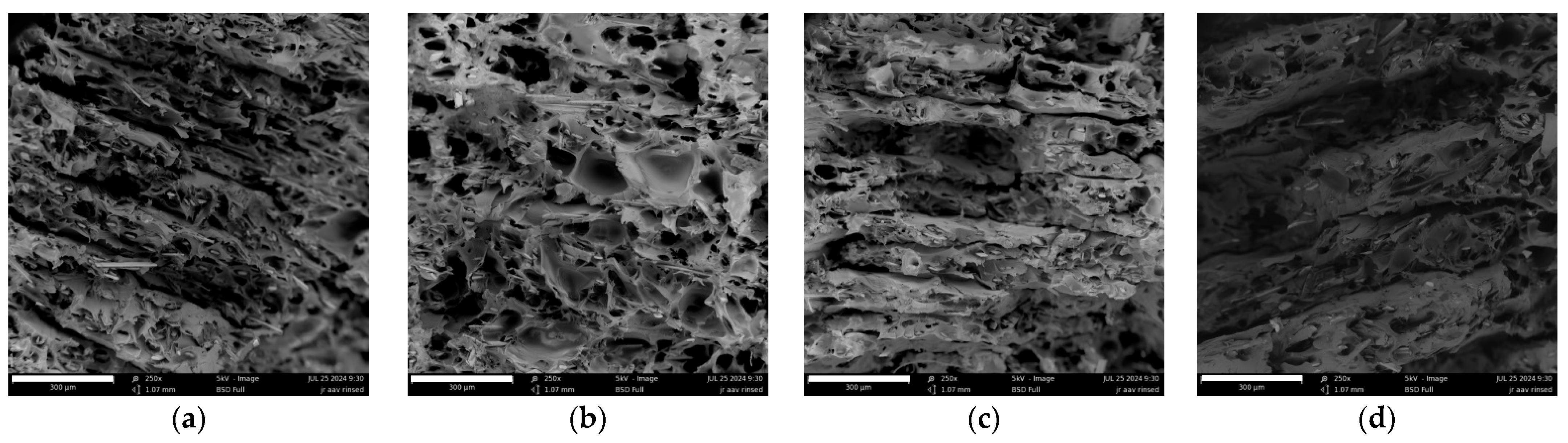 Engproc 87 00063 g004