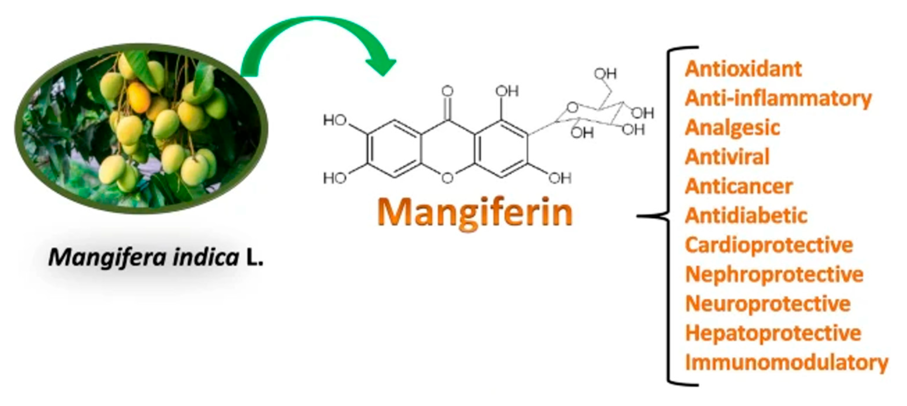 Engproc 87 00078 g001