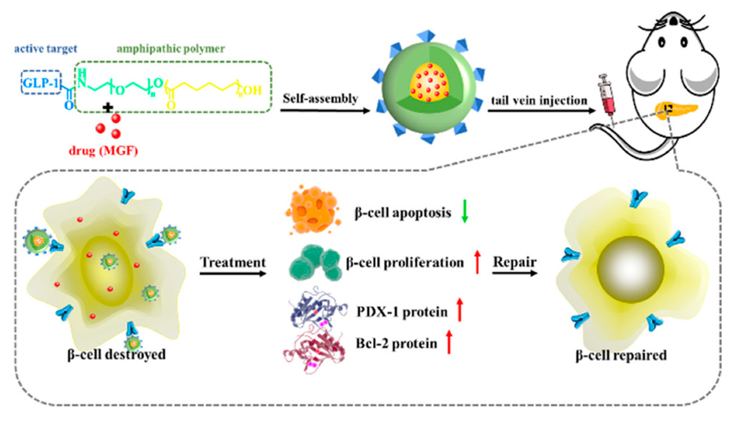 Engproc 87 00078 g002
