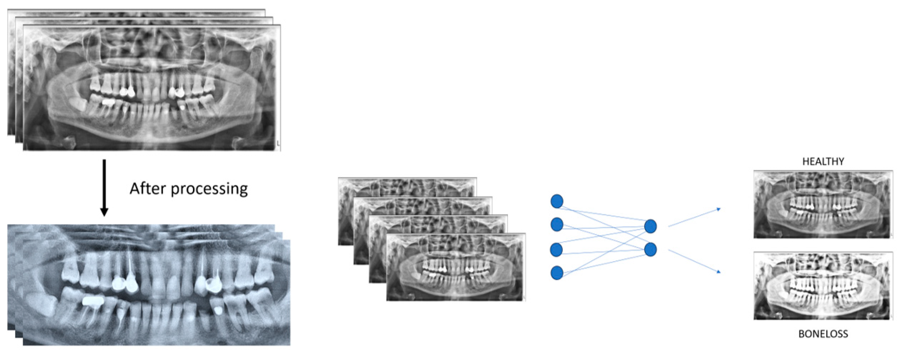 Engproc 87 00080 g001