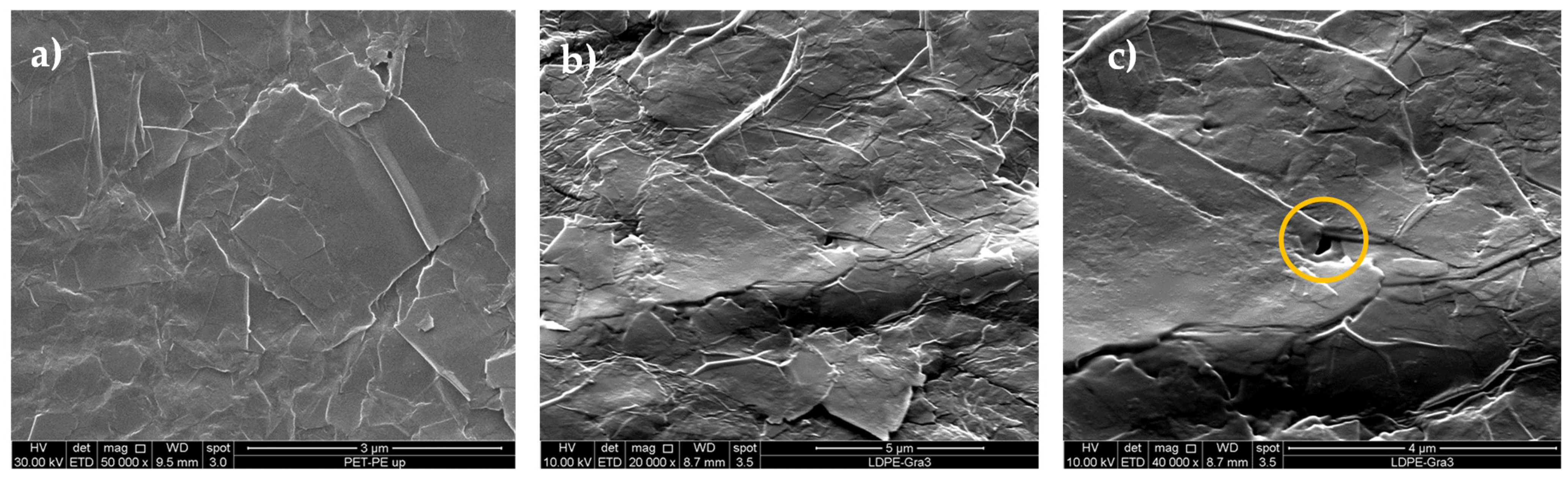 Engproc 87 00081 g003