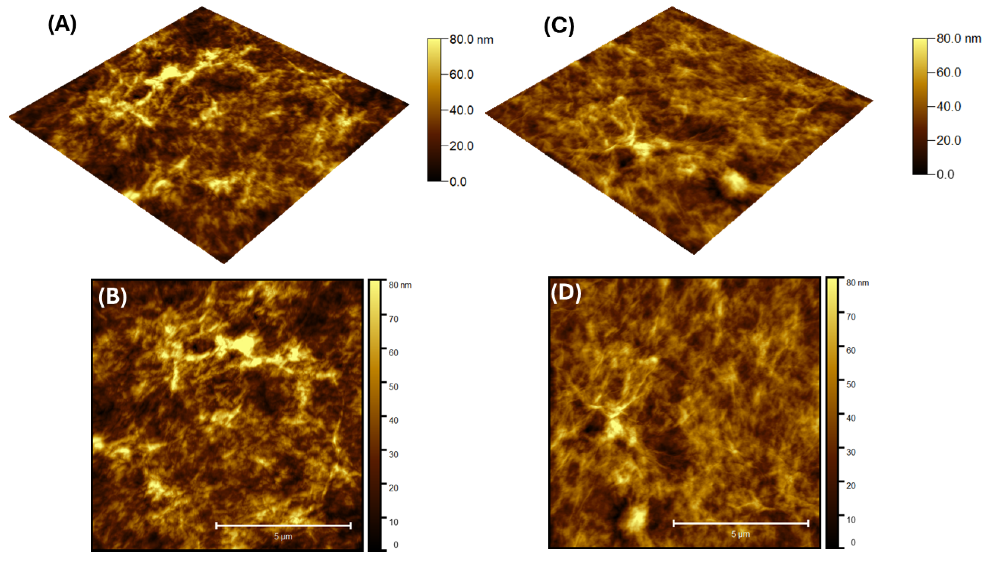 Engproc 87 00082 g001