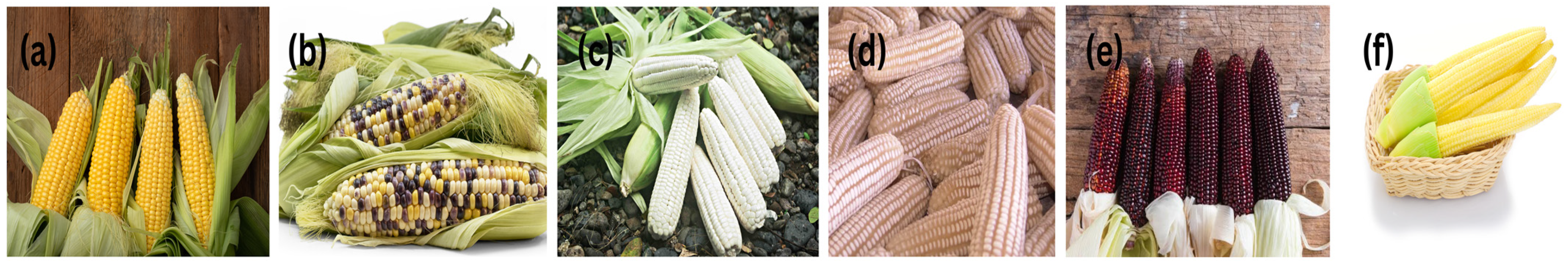 Engproc 87 00084 g001