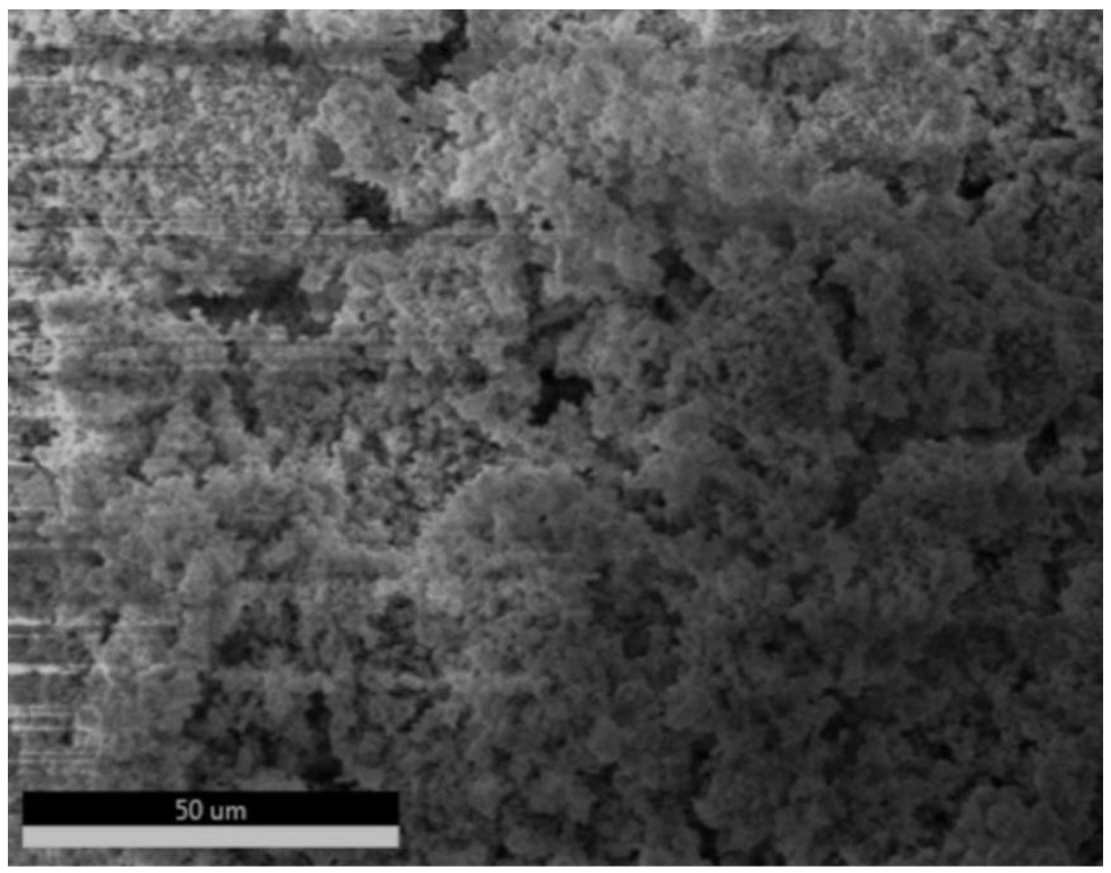 Engproc 87 00109 g003