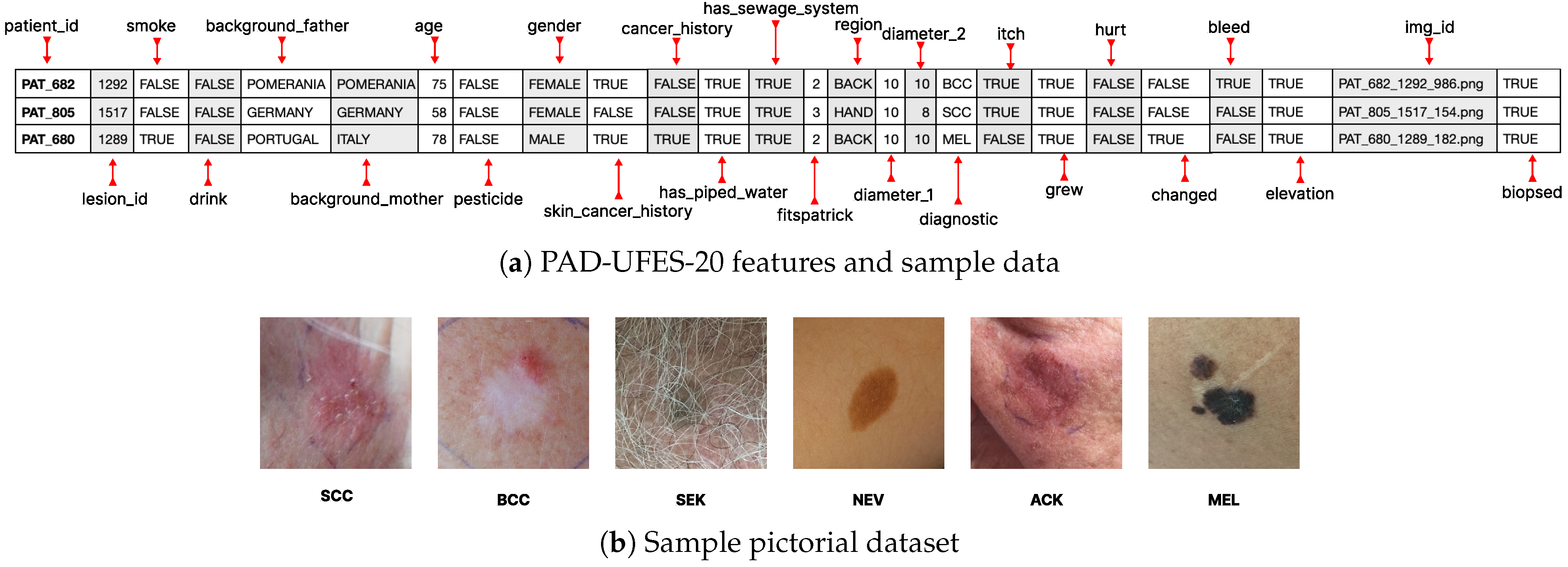 Engproc 87 00115 g002 Engproc 87 00115 g002