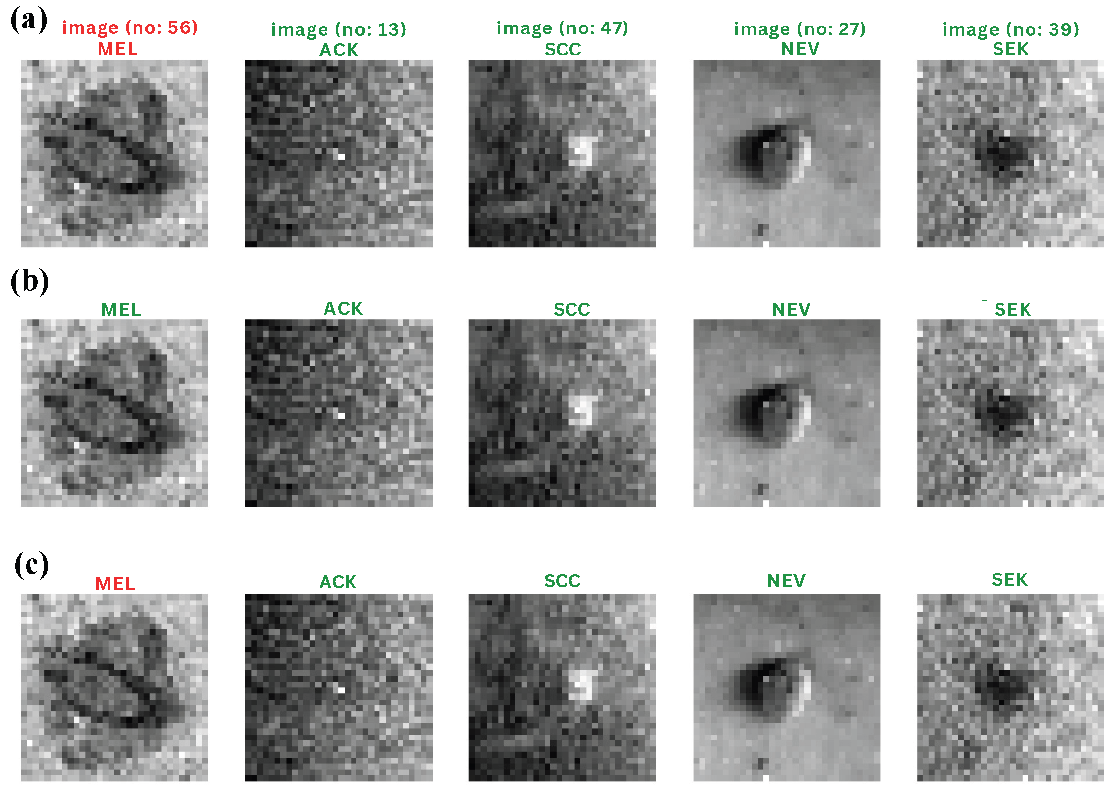 Engproc 87 00115 g004 Engproc 87 00115 g004