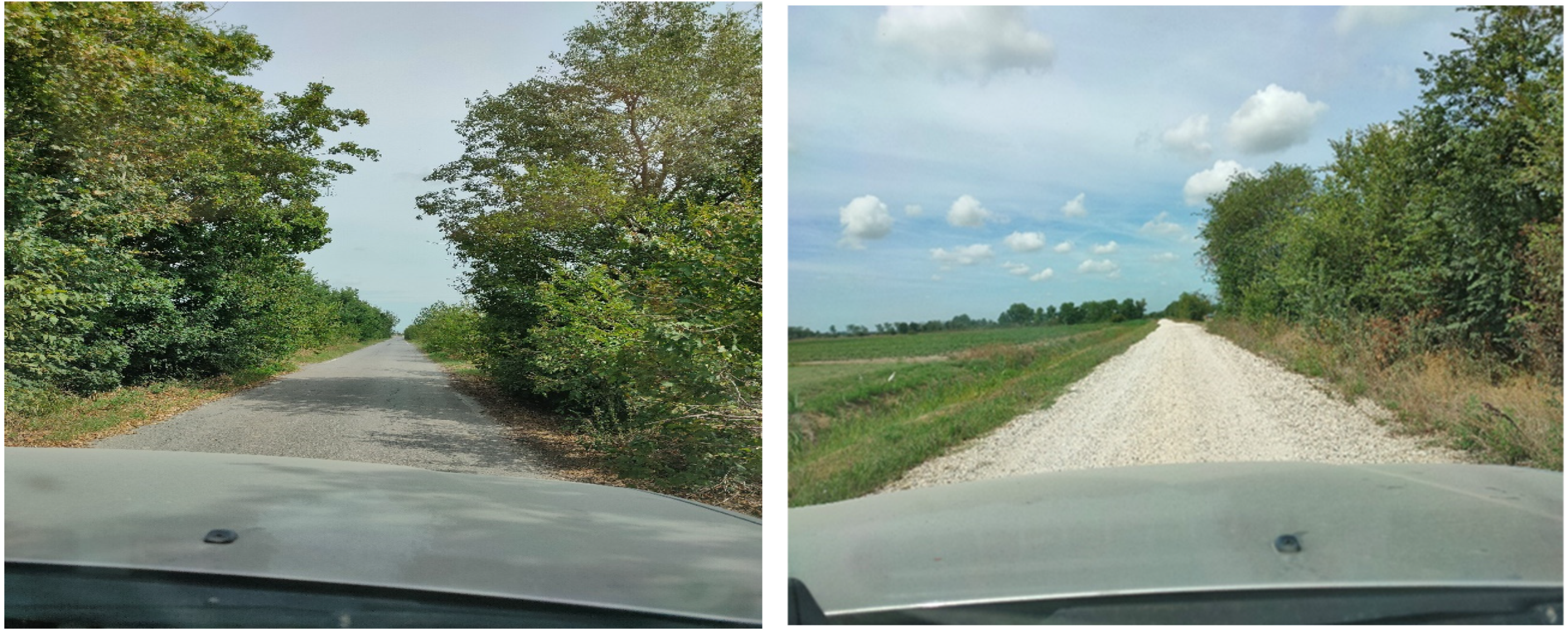 Engproc 88 00023 g002